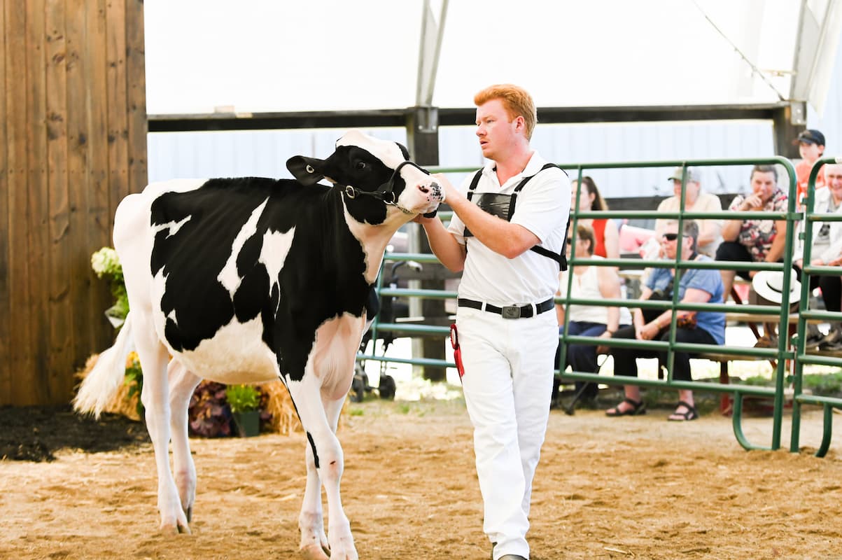 4-H showring